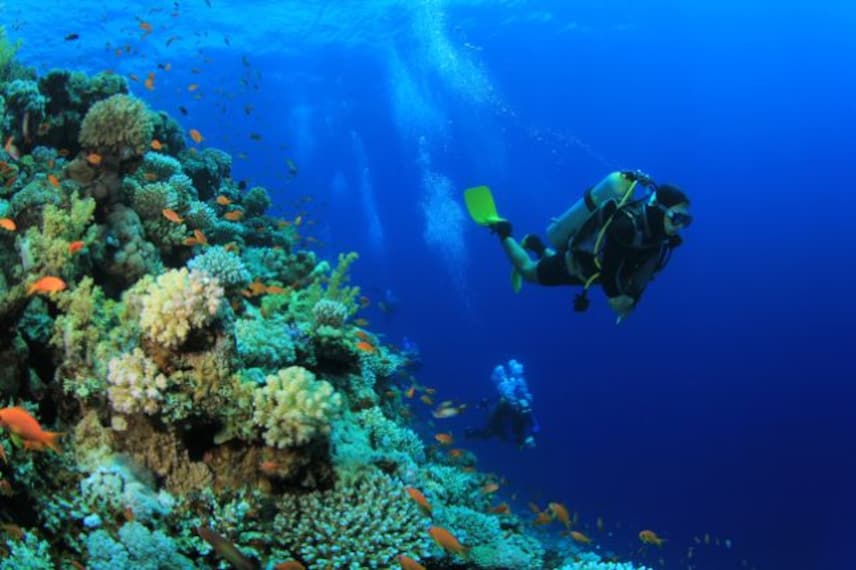 maldives_scuba_diving_3