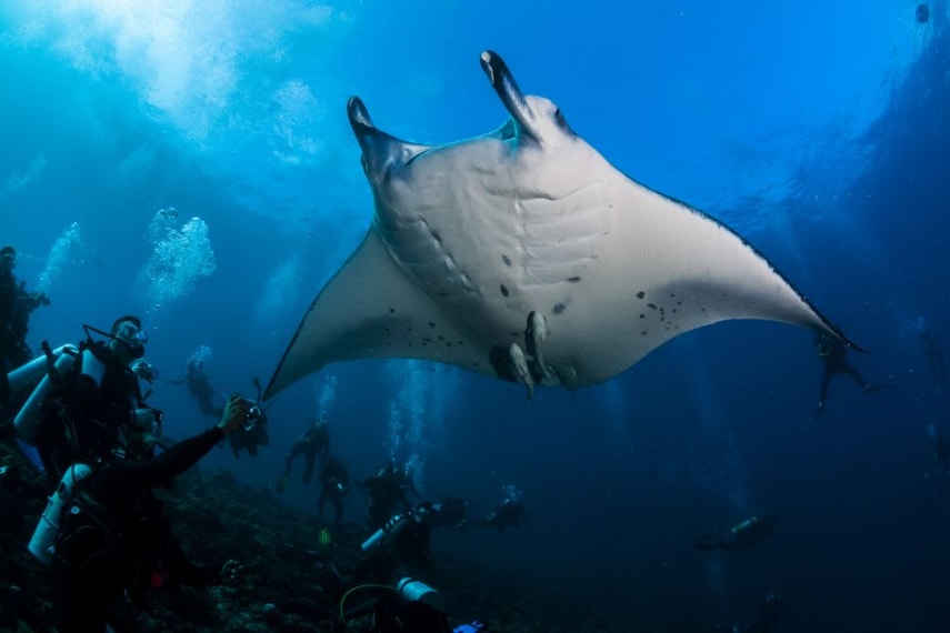 maldives_scuba_diving_5