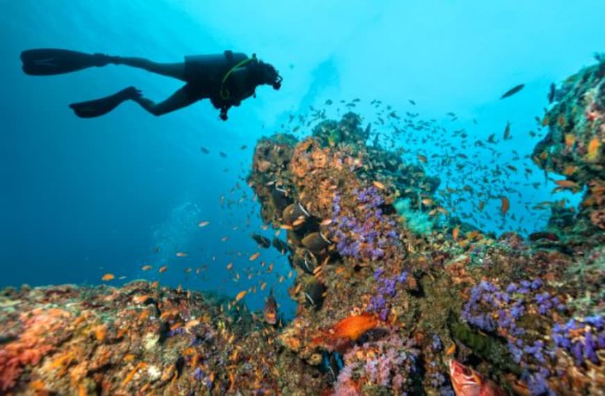 maldives_scuba_diving