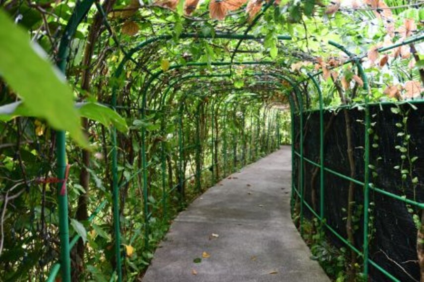 maldives_sultan_park_1