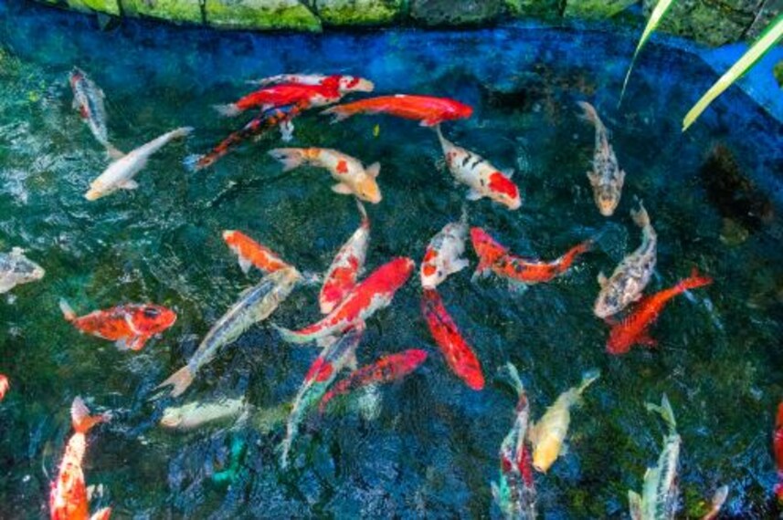 maldives_sultan_park_2