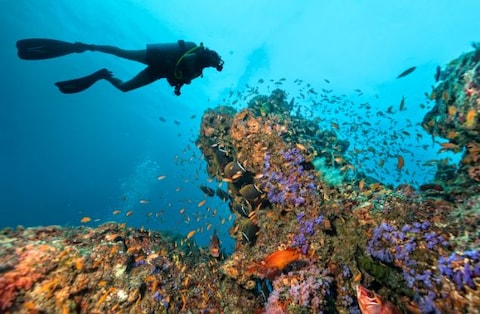 Scuba Diving