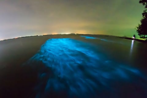 Maldives Glowing Beach