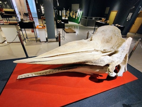 National Museum