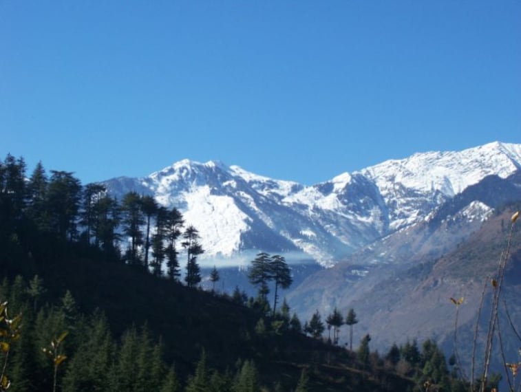 Naggar_3