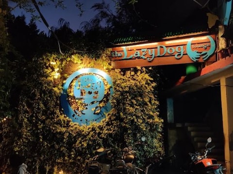 The Lazy Dog Lounge