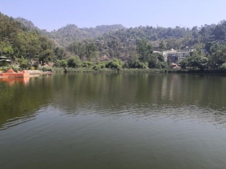 Rewalsar_lake_3