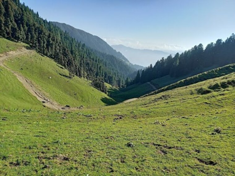 Shikari_devi_wildlife_sanctuary_1
