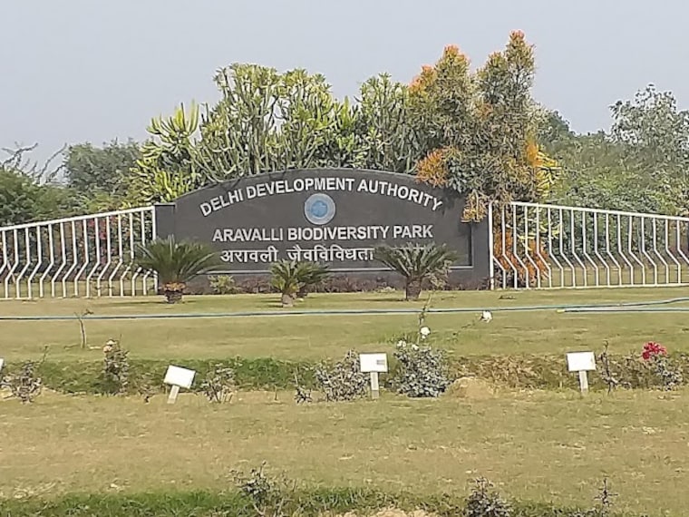 Aravalli_Biodiversity_Park_1