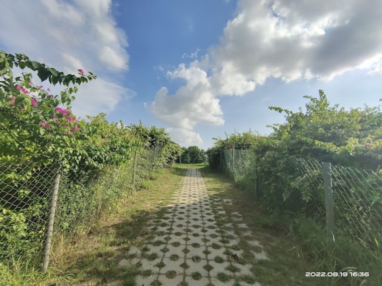 Aravalli_Biodiversity_Park_2