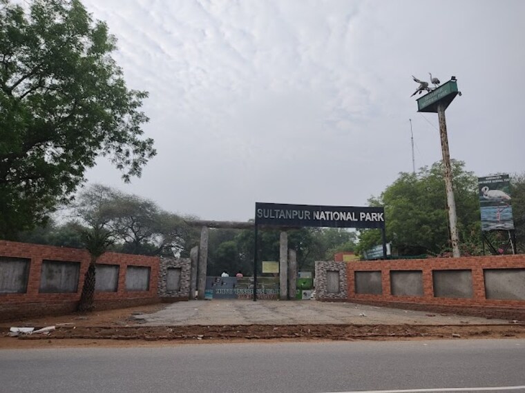 Sultanpur_National_park_1