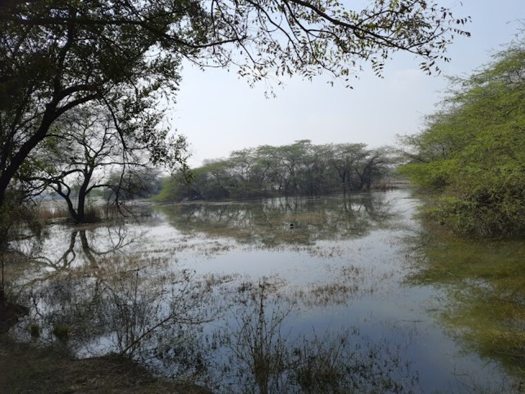 Sultanpur_National_park_2