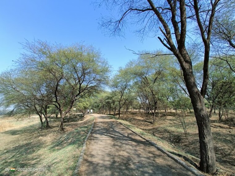 Sultanpur_National_park_3