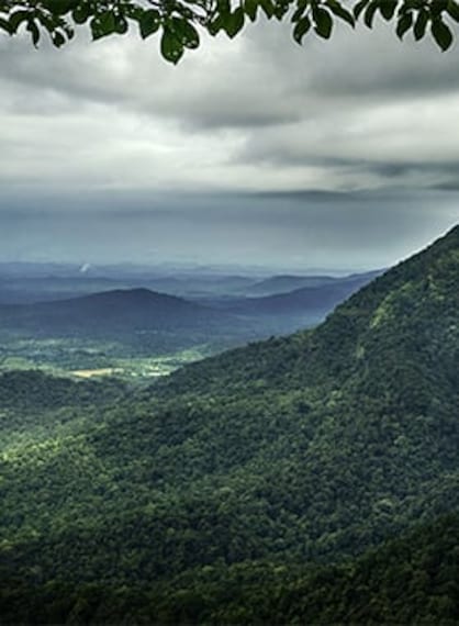 Mangalore Agumbe Portrait Image