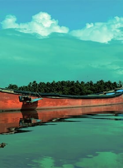 Mangalore Sultan Battery Portrait Image