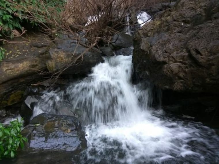 Agumbe-3