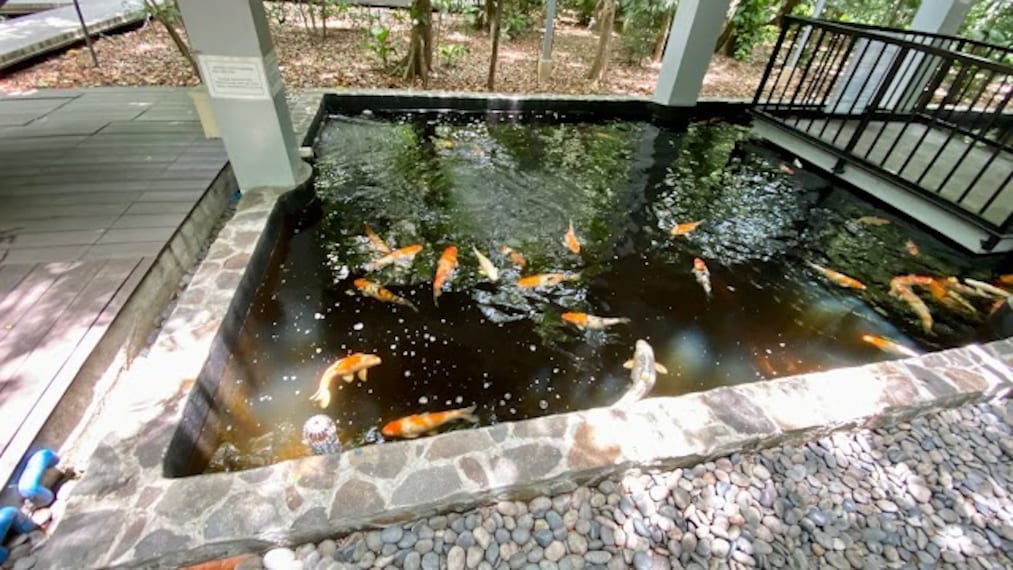 Arroceros_Forest_Park_3