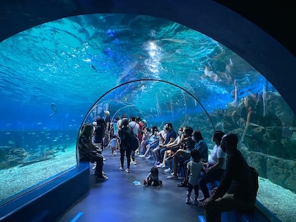 Glass Tunnel at Manila Ocean Park