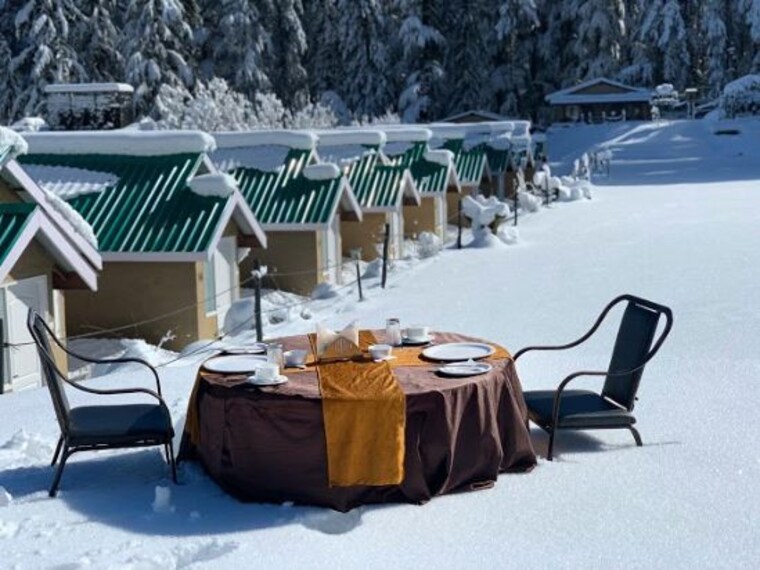 mashobra_camp_in_the_wild