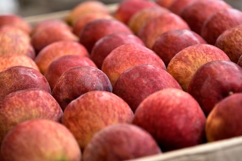 Relish Fresh Produce