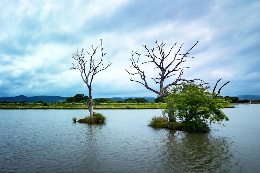 moyar-river-masinagudi-2