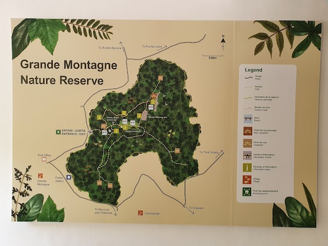 Grande_Montagne_Nature_Reserve_3