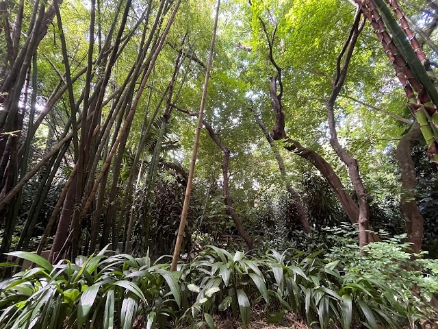 La_Vanille_Nature_Park_4
