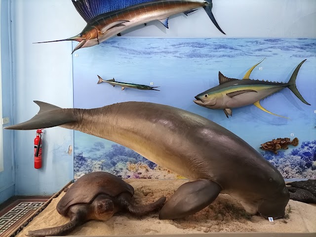 Natural_History_Museum_2
