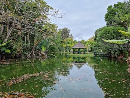 Botanical Garden of Pampelmousses