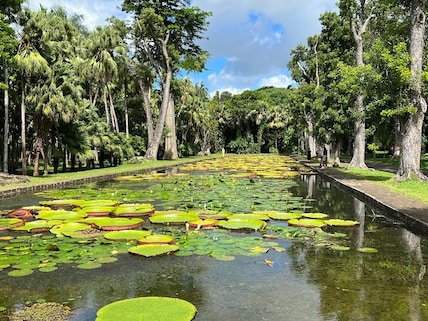 Curepipe Botanical Garden