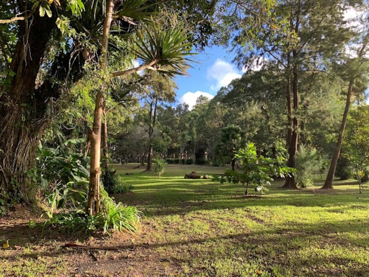 Curepipe_Botanical_Garden_2