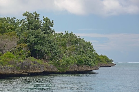 Ile Aux Aigrettes Nature Reserve