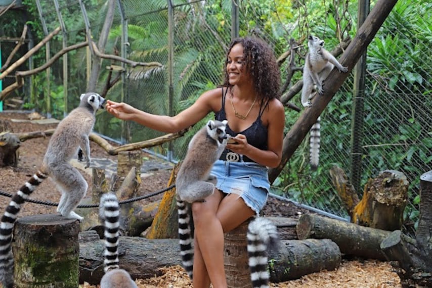 La_Vanille_Nature_Park_1