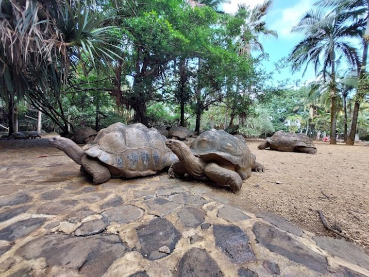 La_Vanille_Nature_Park_2