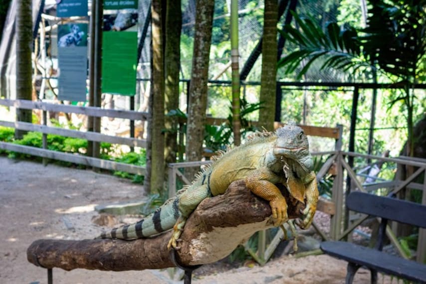 La_Vanille_Nature_Park_3