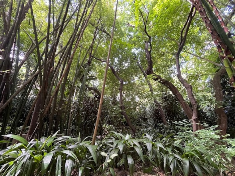 La_Vanille_Nature_Park_4