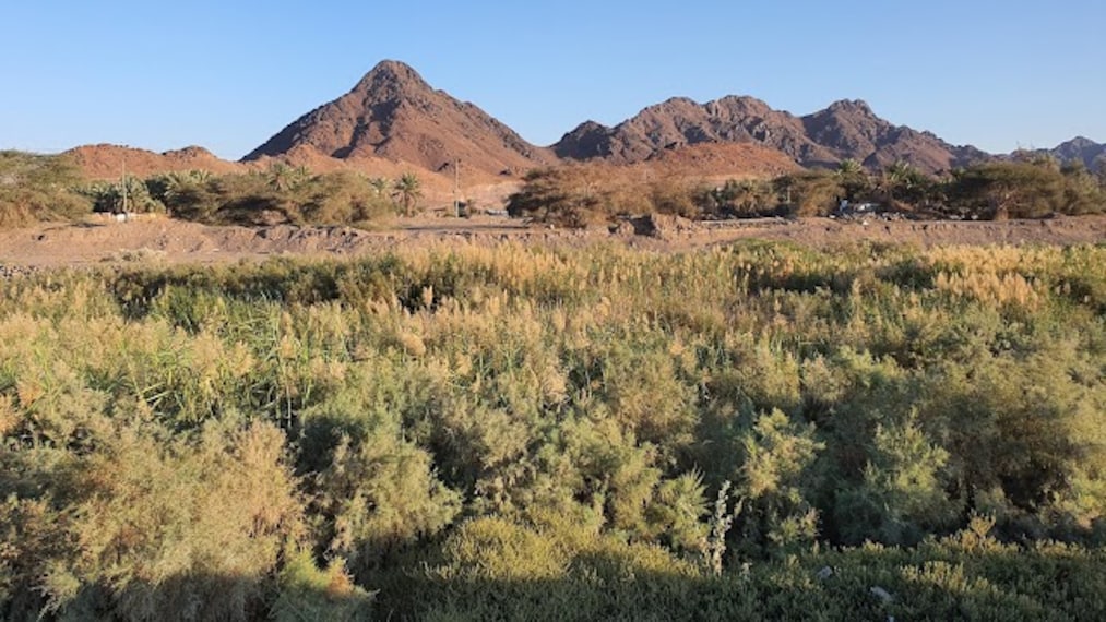 Wadi_Aqiq_2