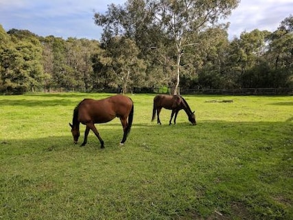Collingwood Childrens Farm