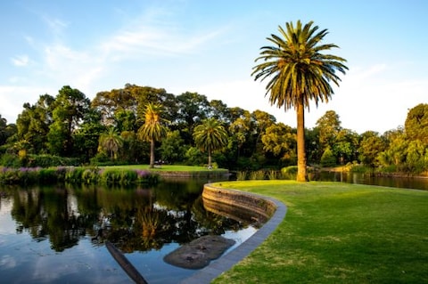 Royal Botanical Gardens Melbourne