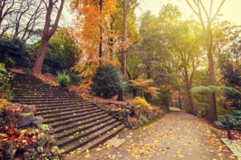 Alfred Nicholas Memorial Garden
