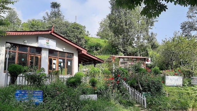 Nirvana_organic_kitchen_3