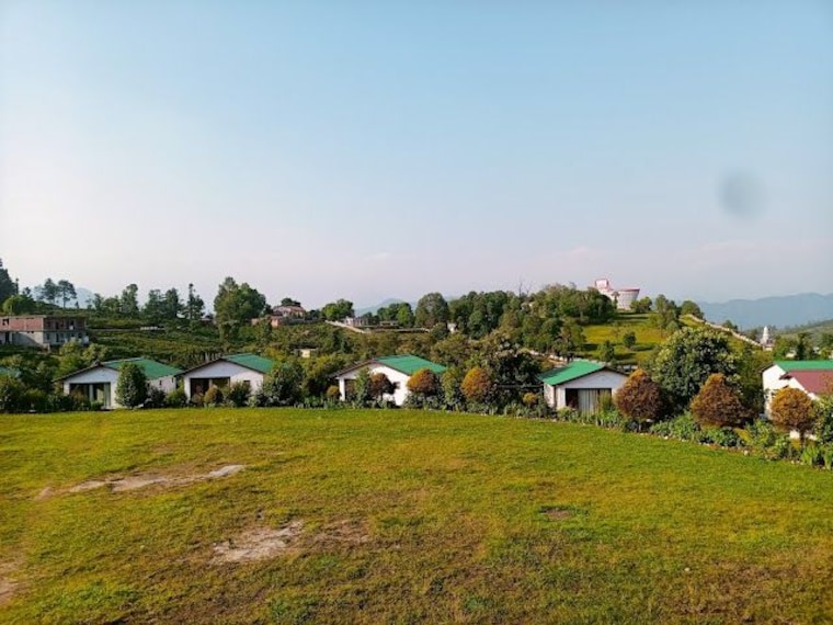 Chaukori_1