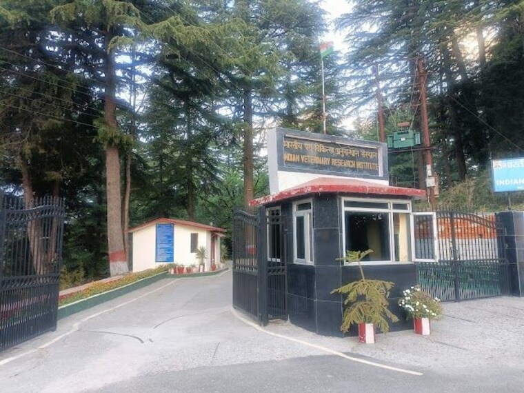 Indian_veterinary_research_institute_2
