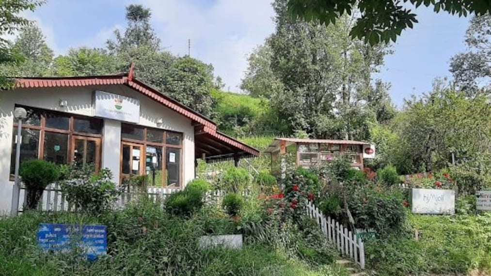 Nirvana_organic_kitchen_3