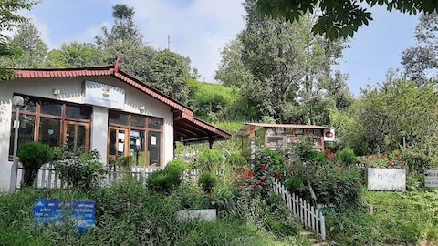 Nirvana Organic Kitchen