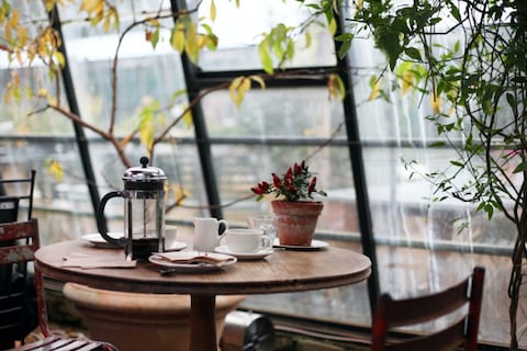 Cafe Local