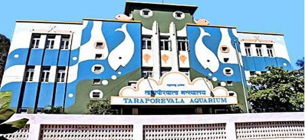 Mumbai Taraporewala Aquarium Landscape Image