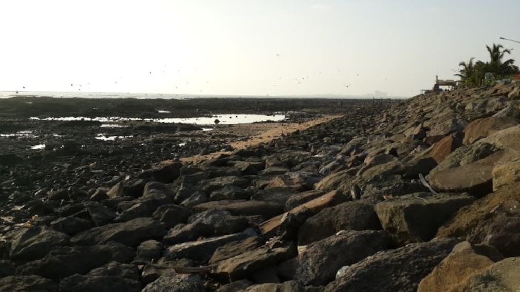 Mumbai Carter Road Landscape Image