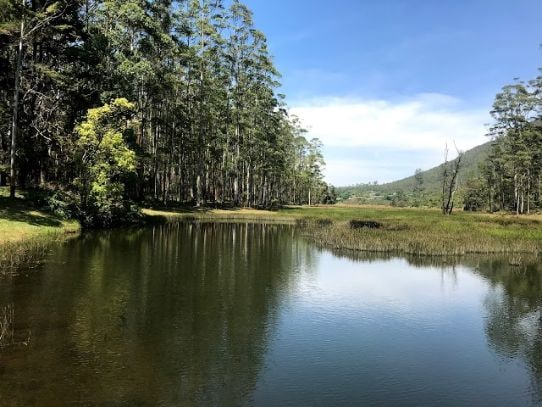 munnar_seetha_devi_lake