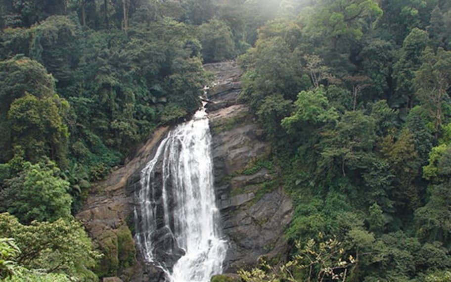Munnar Attukal Waterfalls Landscape Image